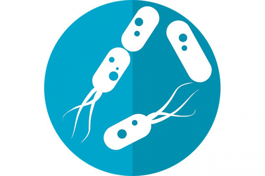 Бактерии Klebsiella pneumoniae синтезируют алкоголь внутри организма человека