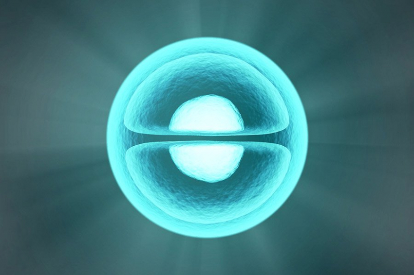 Даже одна бактериальная клетка может чувствовать смену времен года