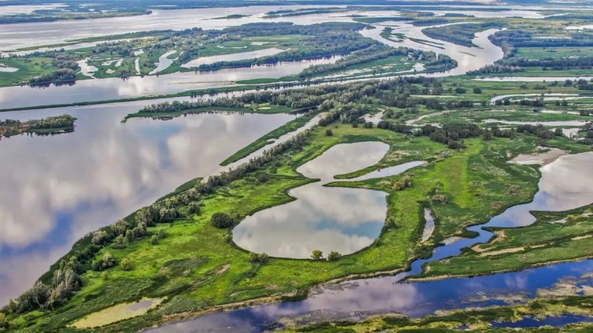 В какое море впадает русская Волга