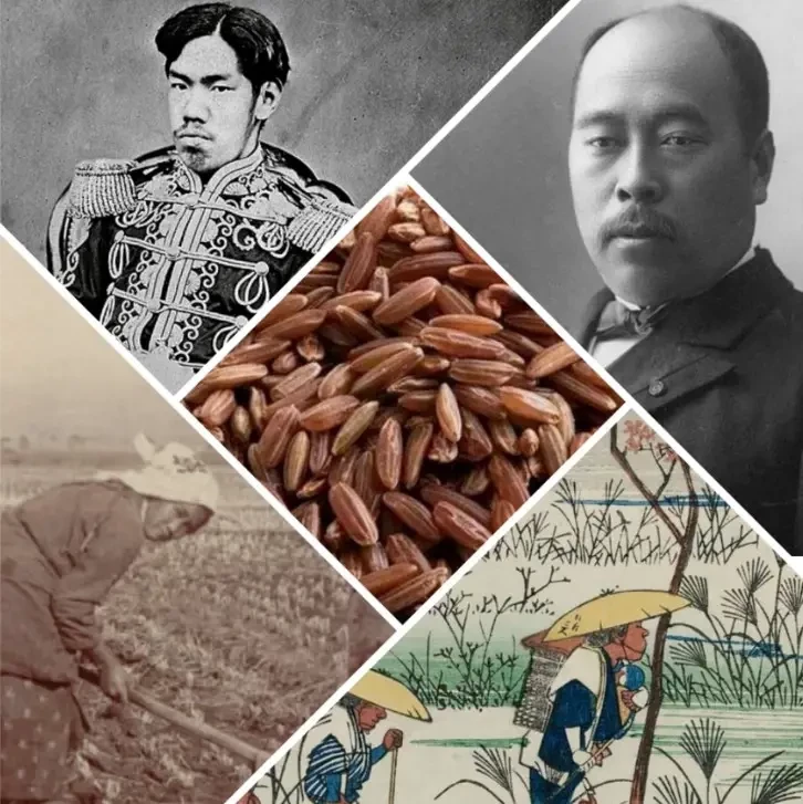 «Болезнь Эдо». Снятое проклятие армии и флота императорской Японии